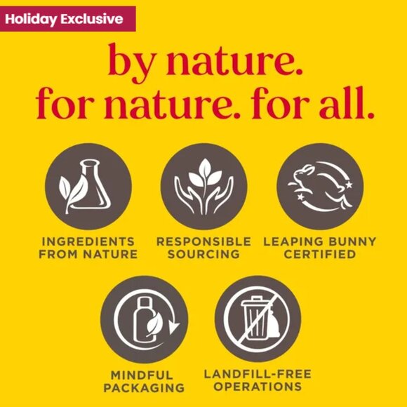 Burt's Bees Lip Balm 2 Pack in Pumpkin Spice & Peppermint - Picture 6 of 7